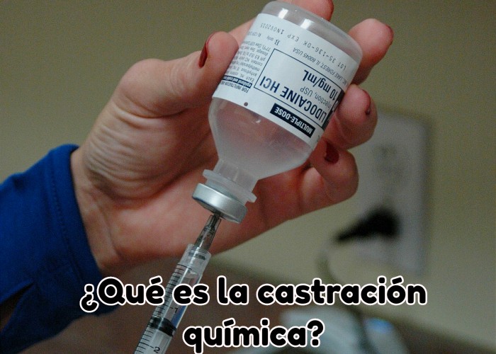 Qué es la castración química