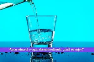 Agua mineral o agua desmineralizada cuál es mejor