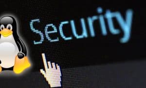 Distros-Linux-para-seguridad-informatica