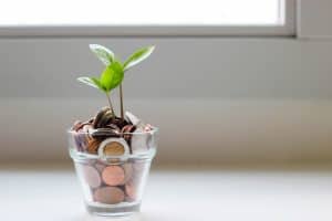 ¿Cual es la diferencia entre salario bruto o neto?
