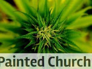 ¿Es seguro invertir en un negocio de CBD?