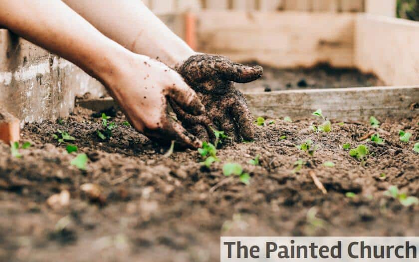 Claves para mejorar tus habilidades sociales, ideas prácticas de jardinería urbana y técnicas para dormir profundamente