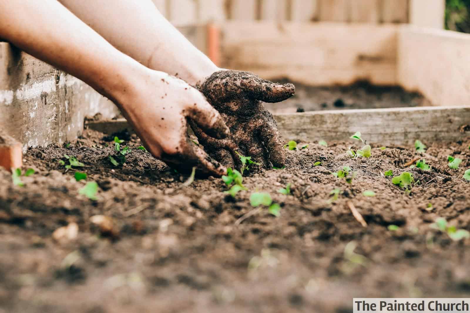 Claves para mejorar tus habilidades sociales, ideas prácticas de jardinería urbana y técnicas para dormir profundamente